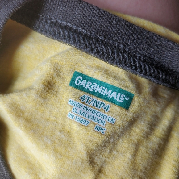 Alex & Jack and Garanimals Size 4T Boys Short Sleeve Casual T-Shirt Bundle GUC - Picture 4 of 15